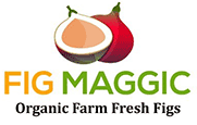 Fig Maggic